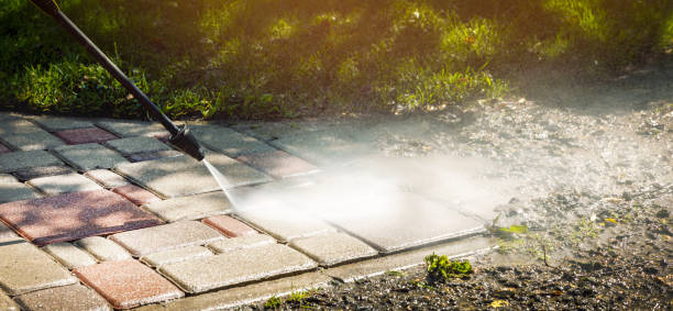 Best Animal Enclosure Cleaning  in Riverdale, CA